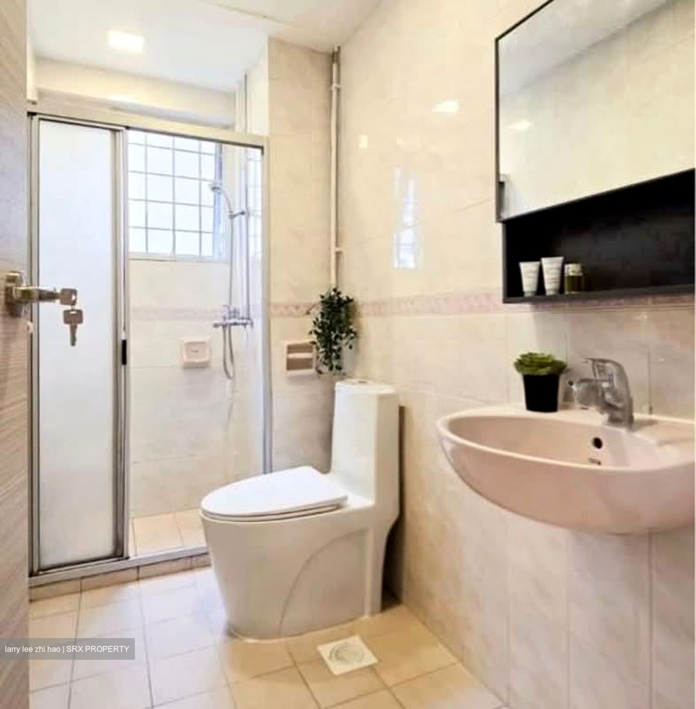 Sunbird View (D16), Apartment #555304381